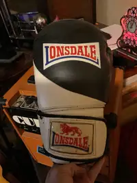Lions dale boxing gloves
