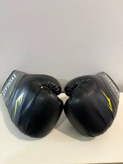 Everlast Boxing Gloves (8oz), View more