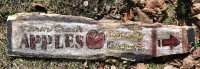 FARM FRESH APPLES LOCALLY GROWN SIGN HANDPAINTED ON OLD WOOD
