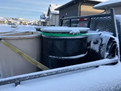 Bear Bait - 10 Skinned Beavers, View more