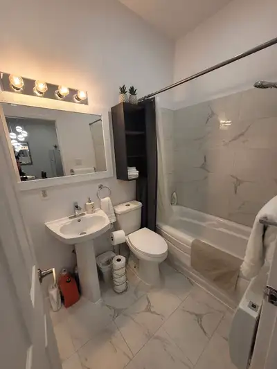 beau 3 1/2 renove meuble plateau Mont-Royal 750 bienville
