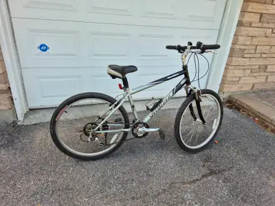 Specialized Expedition tuned Cruiser bicycle, View more