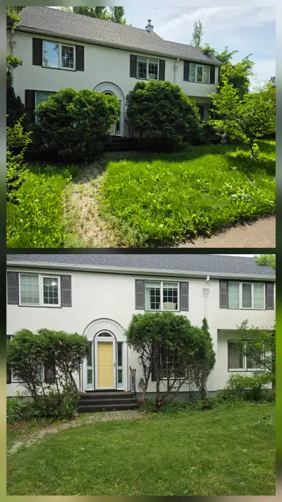 Grass, Shrubs Cutting - Fair Price, View more