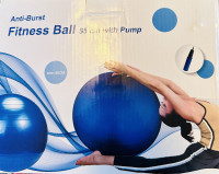Fitness Ball 55 cm (Blue)  with Pump -$30
