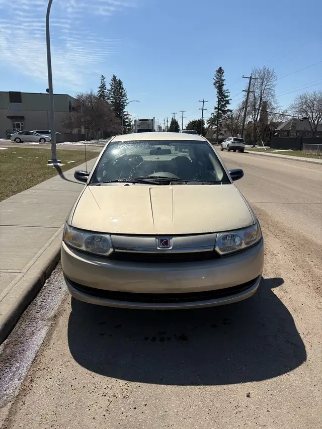 2004 Saturn ION 449688830435010561