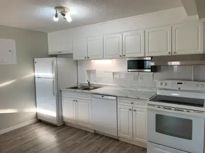 Downtown Kit- Clean  & Spacious 1 Bedroom Apt !