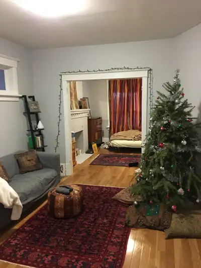 Bright, clean, one bedroom, one bathroom, gleaming new hardwood apartment. Private entrance, shared...