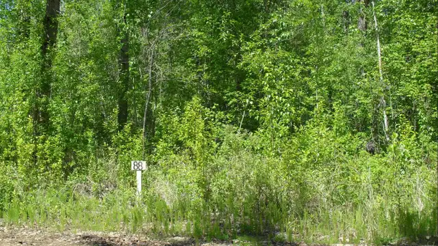 80 %OFFLAKE LOTS AND BUSINESS FOR SALE.lesserslavelake(KINUSO)