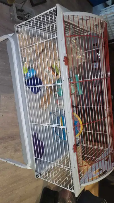 250. obo rodent starter kit on wheels for rats, bunnies, guinea pigs, ect. bit of chips chewed bit i...
