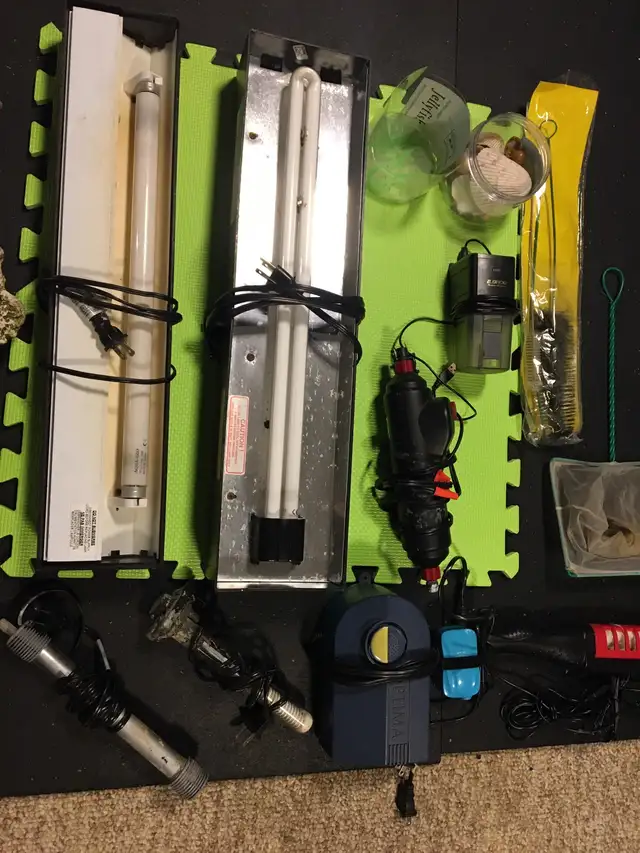 AQUARIUM STUFF FOR SALE ROCKS TANKS ETC - Pickering  in Fish for Rehoming in City of Toronto - Image 5