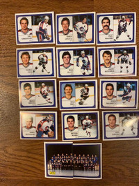 Lot of 14 1988-89 Panini Winnipeg Jets hockey stickers