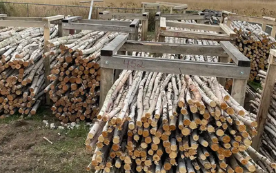 BIRCH Poles - Logs - Candles, View more