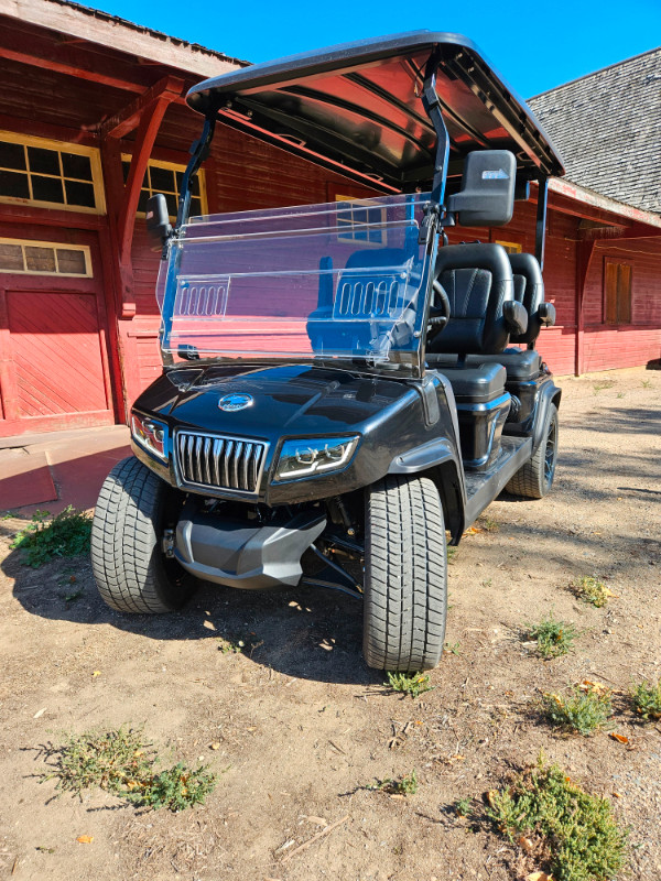 2023 Hdk Lithium D5 Golf Cart and Street Machine 4 seater in Golf in Saskatoon - Image 3