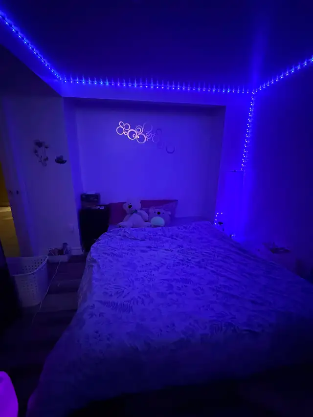 Girls ONLY - Furnished Room for Rent in Malton in Room Rentals & Roommates in Mississauga / Peel Region - Image 6