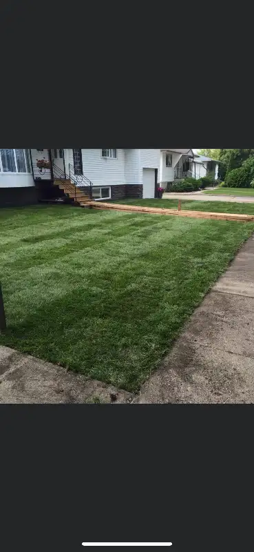 Chambers Bobcat Services/ landscaping62864354403458124