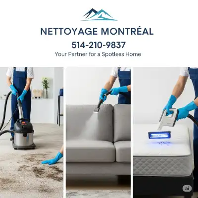 tapis nettoyage sofa matelas carpette, View more