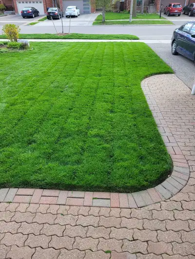 Snow shoveling, Grass cutting, View more