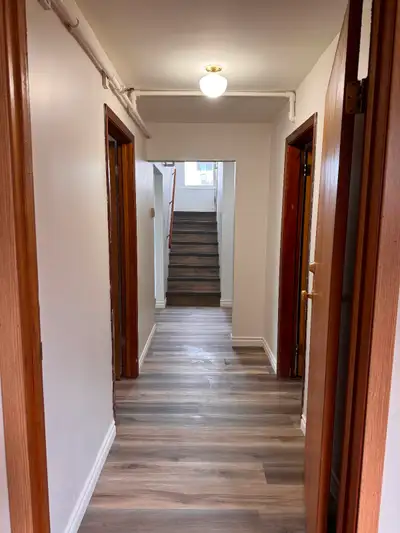 Downtown 2 bedroom basement suite for rent, bright and clean, newly renovated, looking for working p...