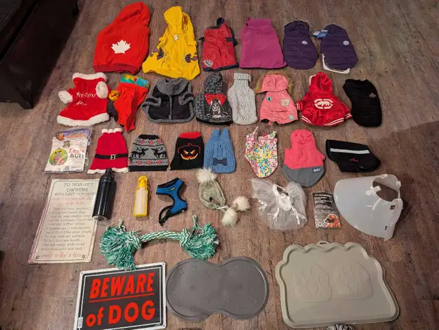 DOG Coats,l & Jackets, safety cone, lg rope toy, water bott in Other in Moncton - Image 2