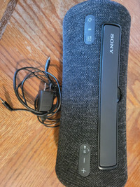 Sony srs xg300