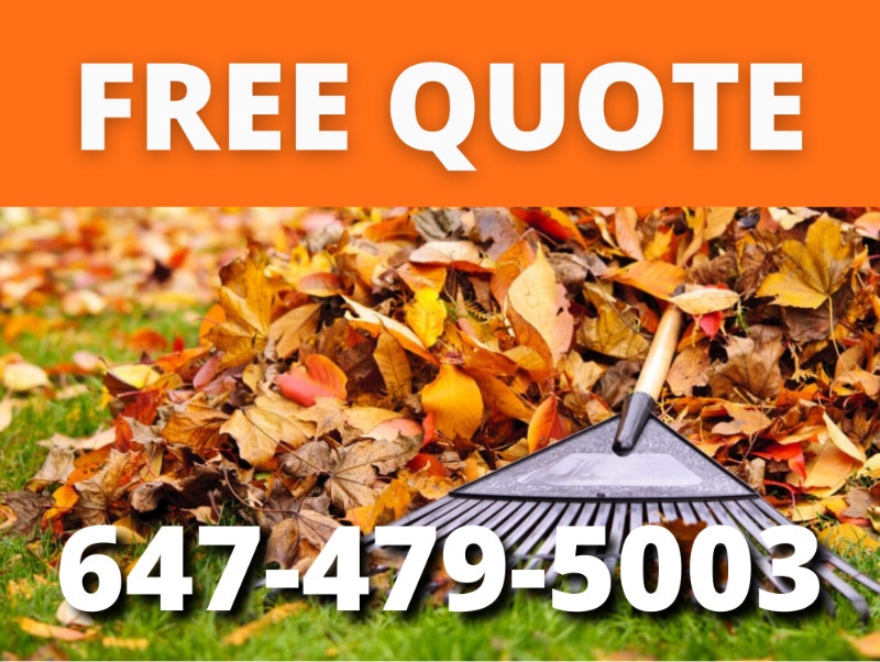Prepare your yard for the snow with our leaf removal services! Lawn