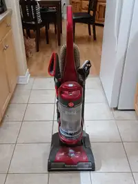 Upright Hoover vaccum cleaner. Cat not included. 