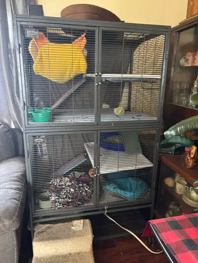 critter nation cage, View more