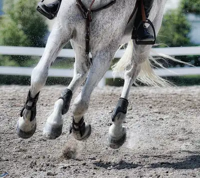 TreadSoft Premium Crumb Rubber Horse Arena Footing, View more