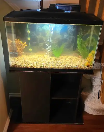 27 gallon aquarium and stand. Everthing you need to start. Complete with: -27 gallon tank with lid -...