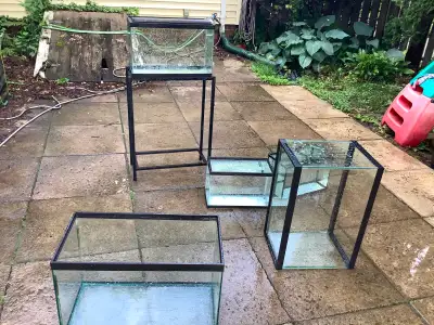 20, 10, and 5 gallon aquariums for sale or trade for house plant, View more