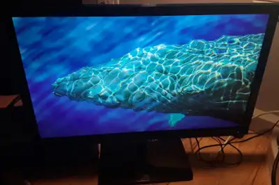 moniteurs LED avec hdmi, projecteur hdmi,vga, View more
