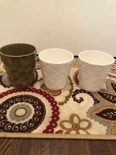 $5 for each new plant pot!, View more