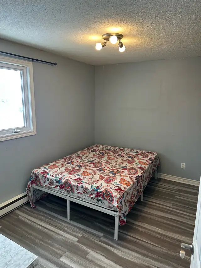 Private Room for rent