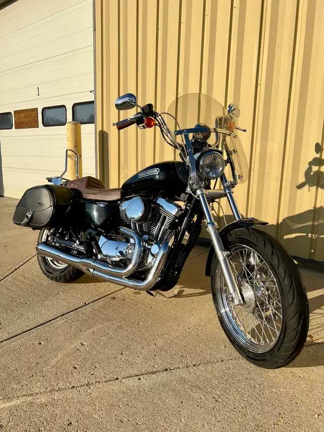 2006 Harley Davidson Sportster 1200 Low in Street, Cruisers & Choppers in Saskatoon - Image 2