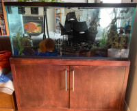 90 gallon fish tank aquarium and stand