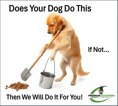 PREMIUM SCOOPERS is a new professional Pet Waste yard clean-up service in the Brockville & Prescott...