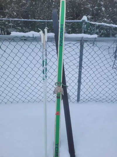 Austrian Hagan skies and poles, View more