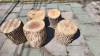 solid hardwood logs, sold separately