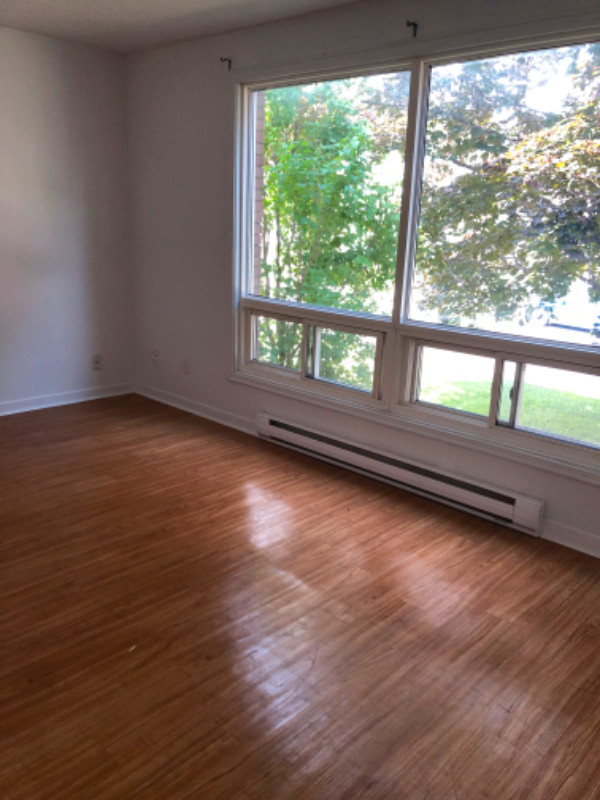Appartement 4 1/2 à louer à Gatineau (secteur MontBleu) Long Term