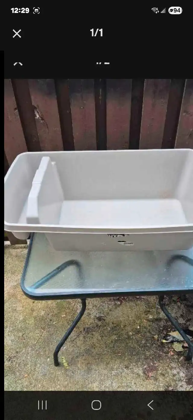 Kitten litter box63815784401283120