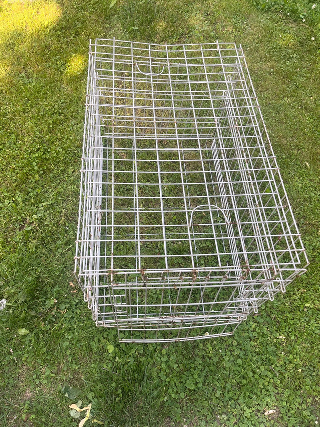 Large dog/ animal crate/ cage in Animal & Pet Services in City of Toronto - Image 3