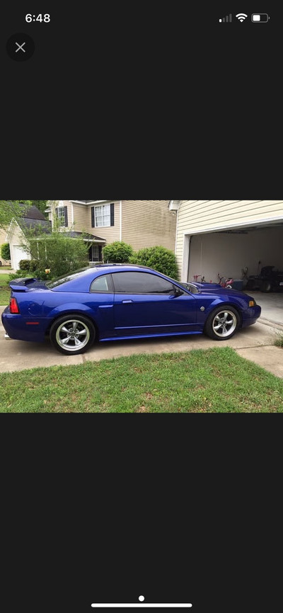 Looking for Mustang GT