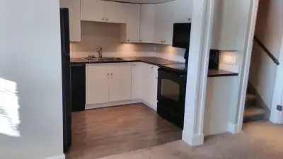 Bright bi-level basement in NW.