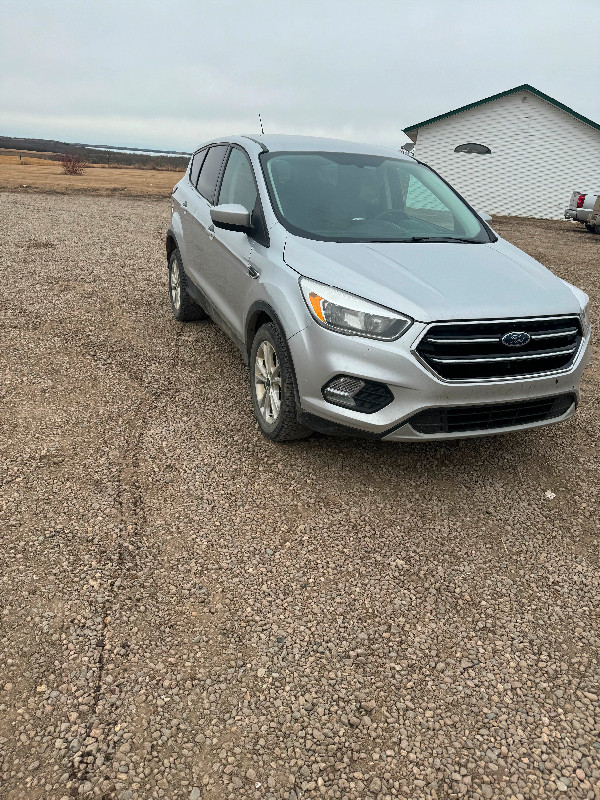 2019 ford escape in Cars & Trucks in Edmonton - Image 2