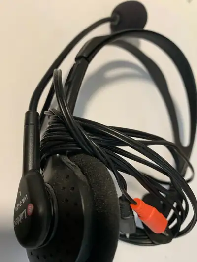 Labtec Headphones - REDUCED, View more