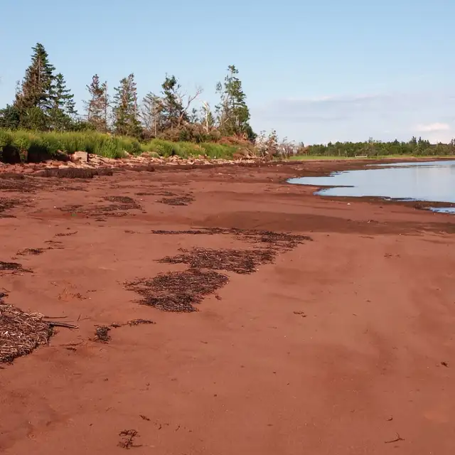 OCEAN SIDE COTTAGES in BEAUTIFUL POINT PRIM (Bluenose) in Prince Edward Island in Canada - Image 16