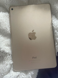 iPad mini 4 (broken)