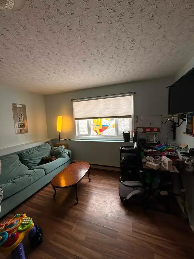 Large 5-6 Bedroom Townhouse close to Downtown/Quinpool