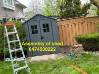 Assembly of shed 