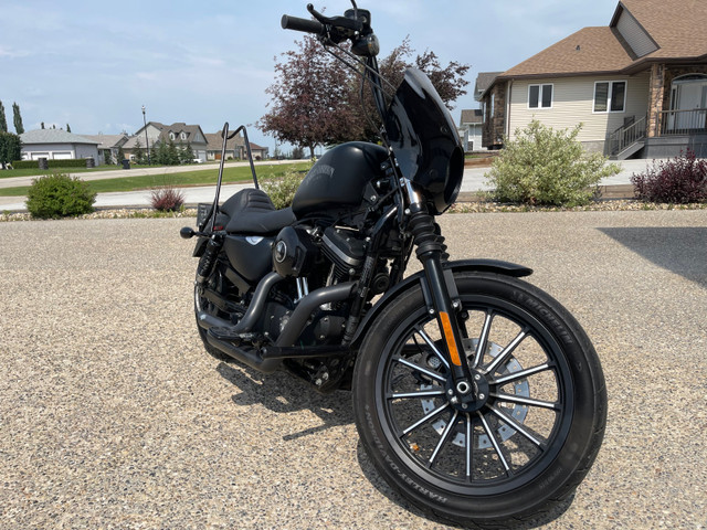 2014 Harley Sportster XL883N iron in Street, Cruisers & Choppers in Grande Prairie - Image 2